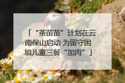 “茶苗苗”计划在云南保山启动 为留守困境儿童三餐“加肉”